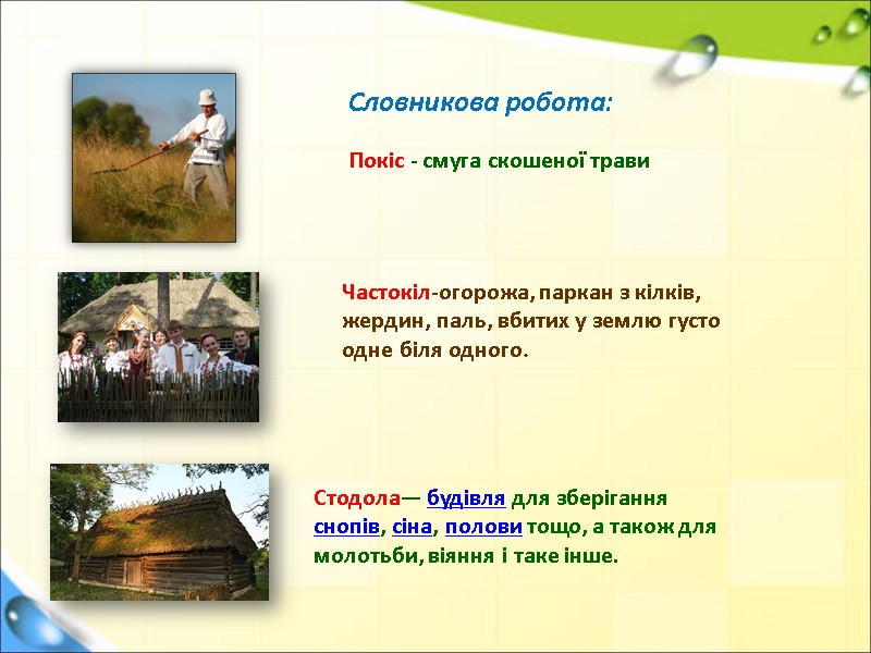 Словникова робота:  Покіс - смуга скошеної трави Частокіл-огорожа, паркан з кілків, жердин, паль,